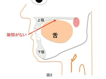 会話をしない状態（口を閉じた状態）