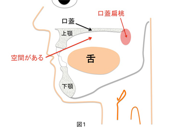 会話をしたり口を開けたりする状態