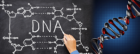 歯周病細菌遺伝子（DNA）検査イメージ