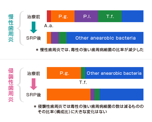 歯周病治療後の歯周病細菌の変化